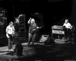 Grateful Dead - October 14, 1988